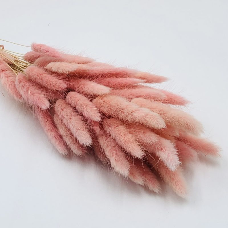 pink bunny tail