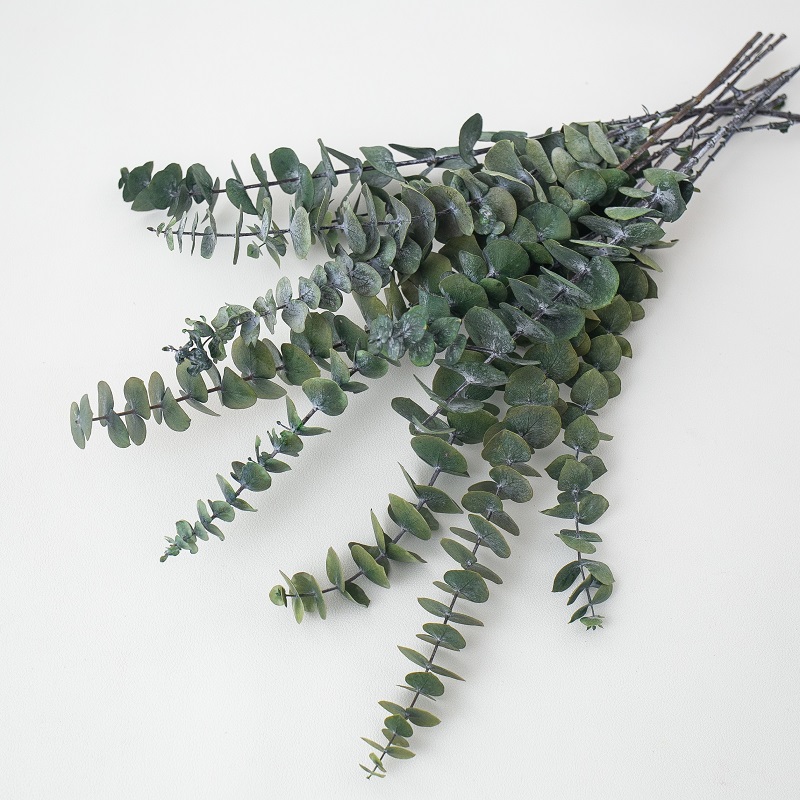 preserved eucalyptus green
