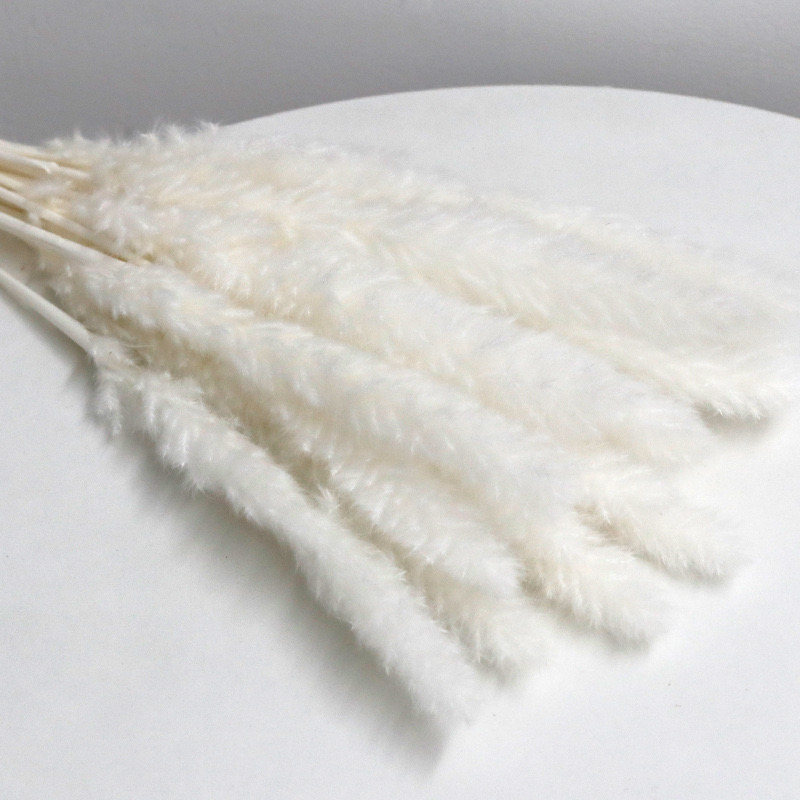 Fluffy Slim Stick Pampas Grass, white