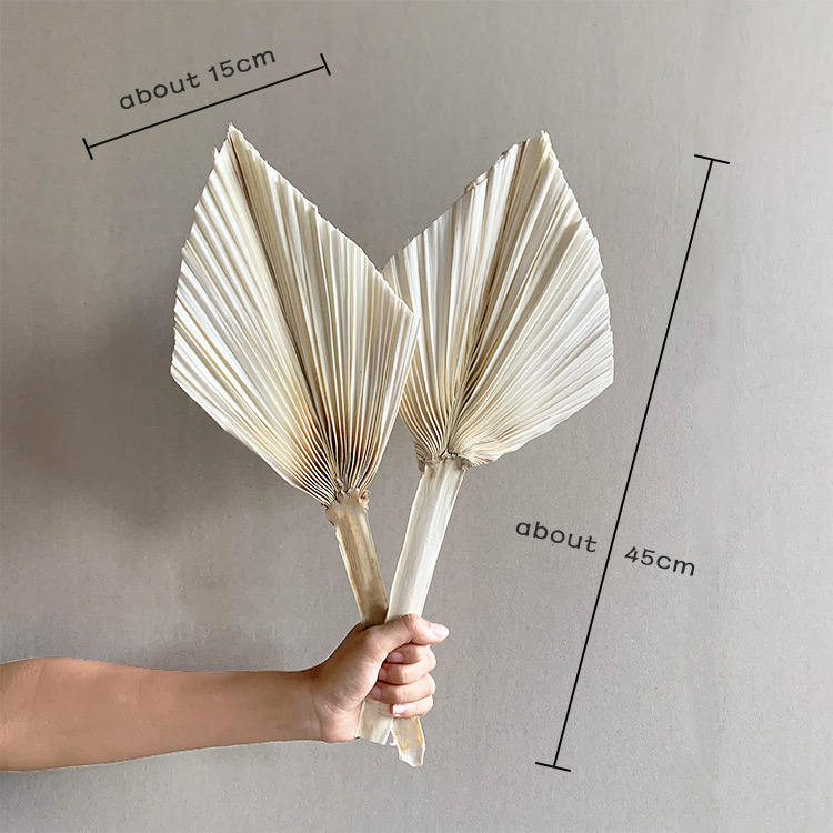 White small palm