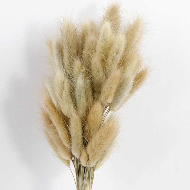 Natual dried bunny tail