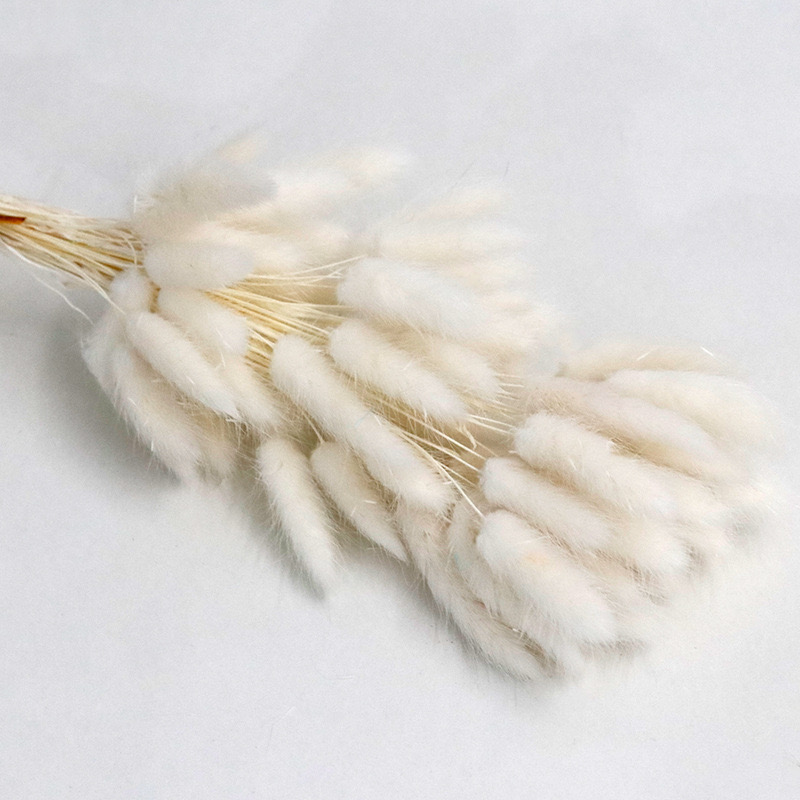 white bunny tail