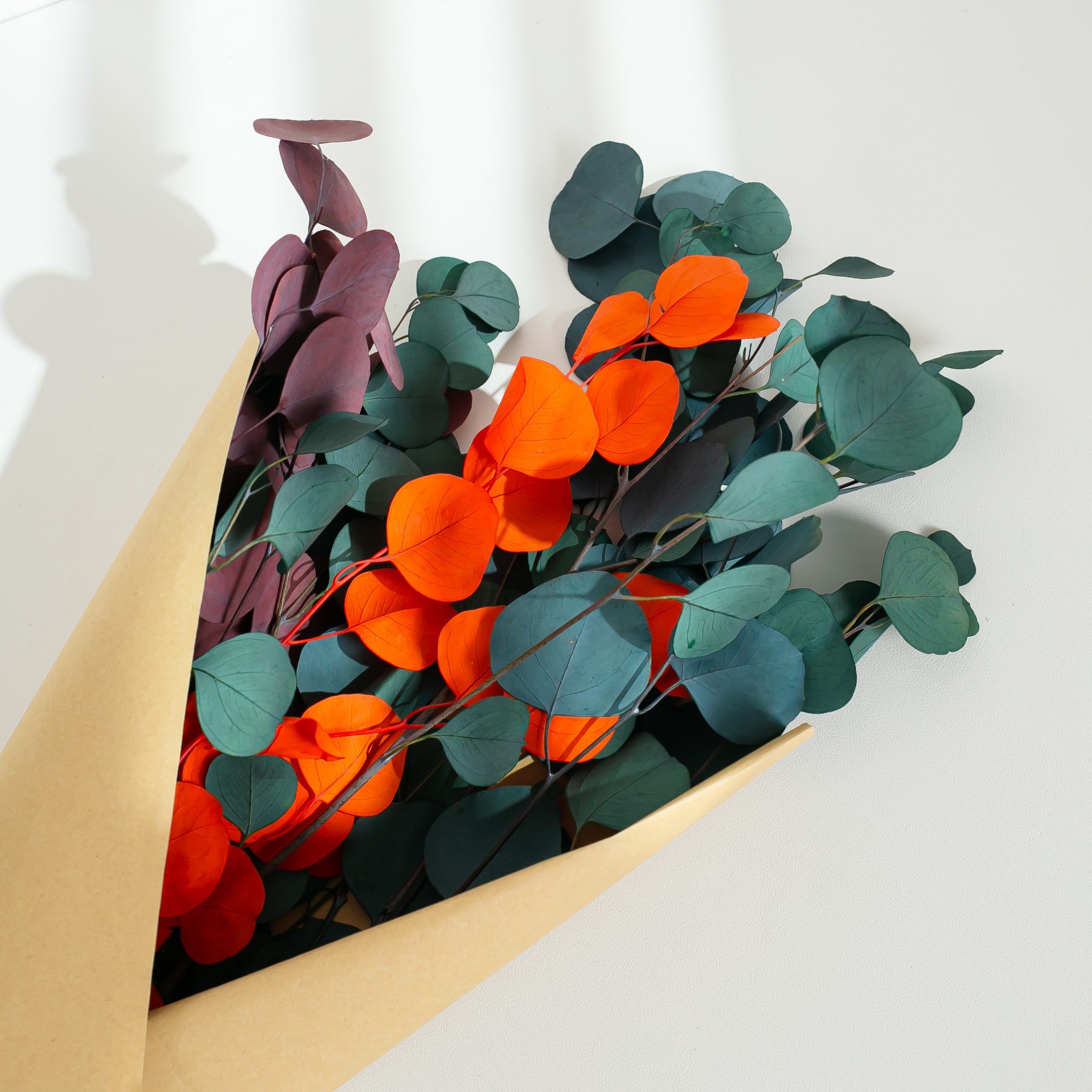 Preserved Eucalyptus