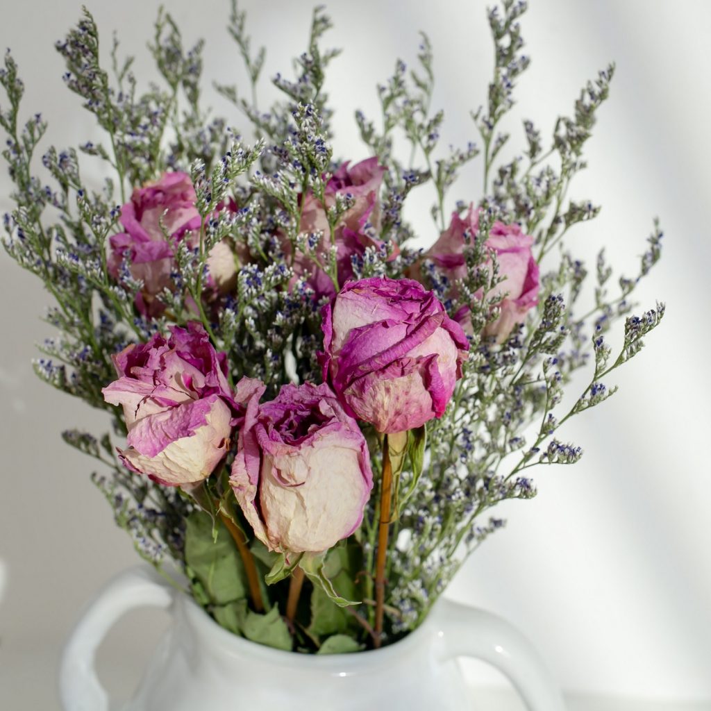 pink dried rose