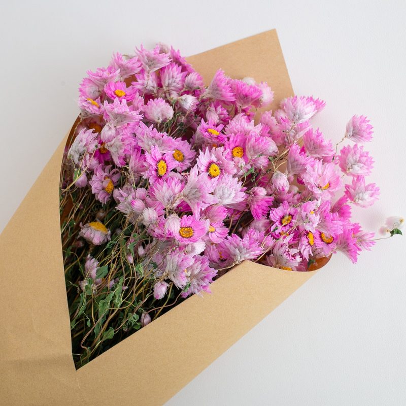 Dried Daisy Flowers Bouquet, Real Dry Pink Flowers With Stems