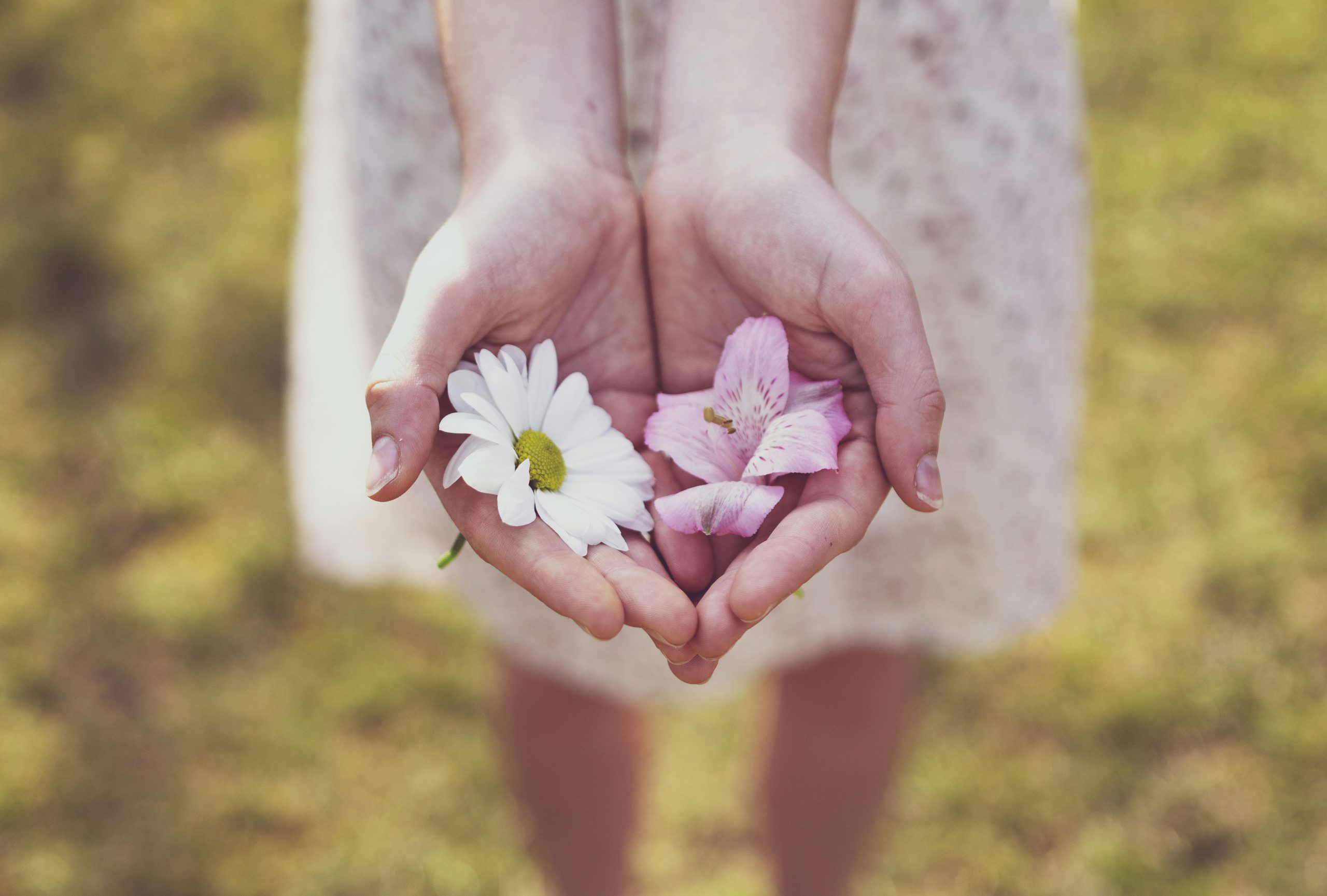 A person holding pink and white birth flowers on a green field.
