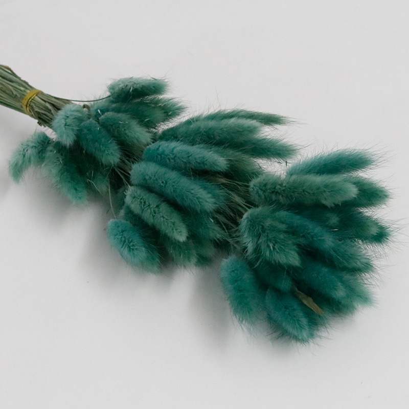 Jasper dried bunny tail