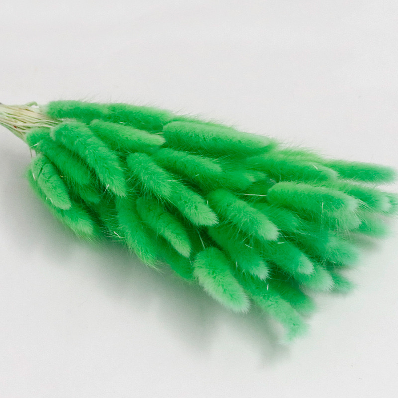 peak green dried bunny tail