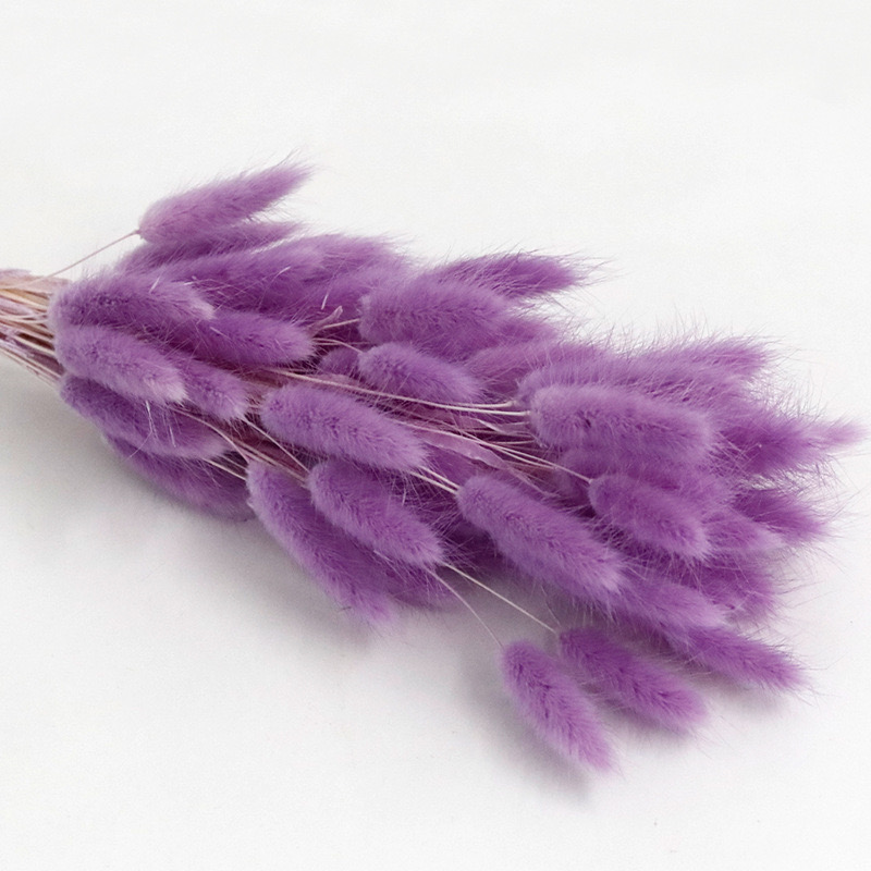 Purple No.28 dried bunny tail