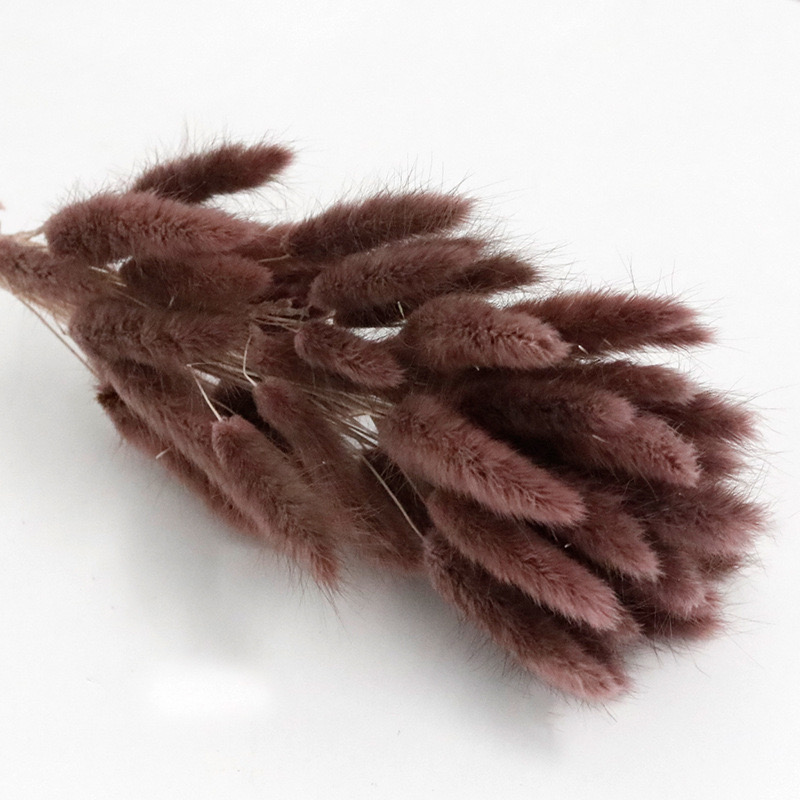 Coffee bunny tail