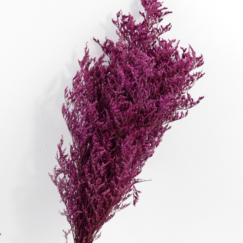 purple red love grass