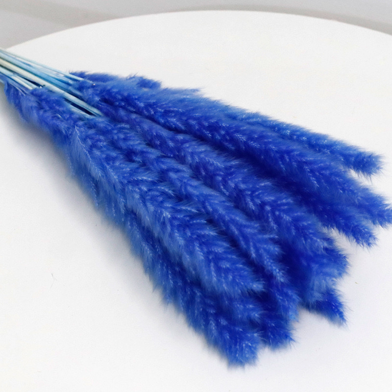 slim pampas grass dimond blue