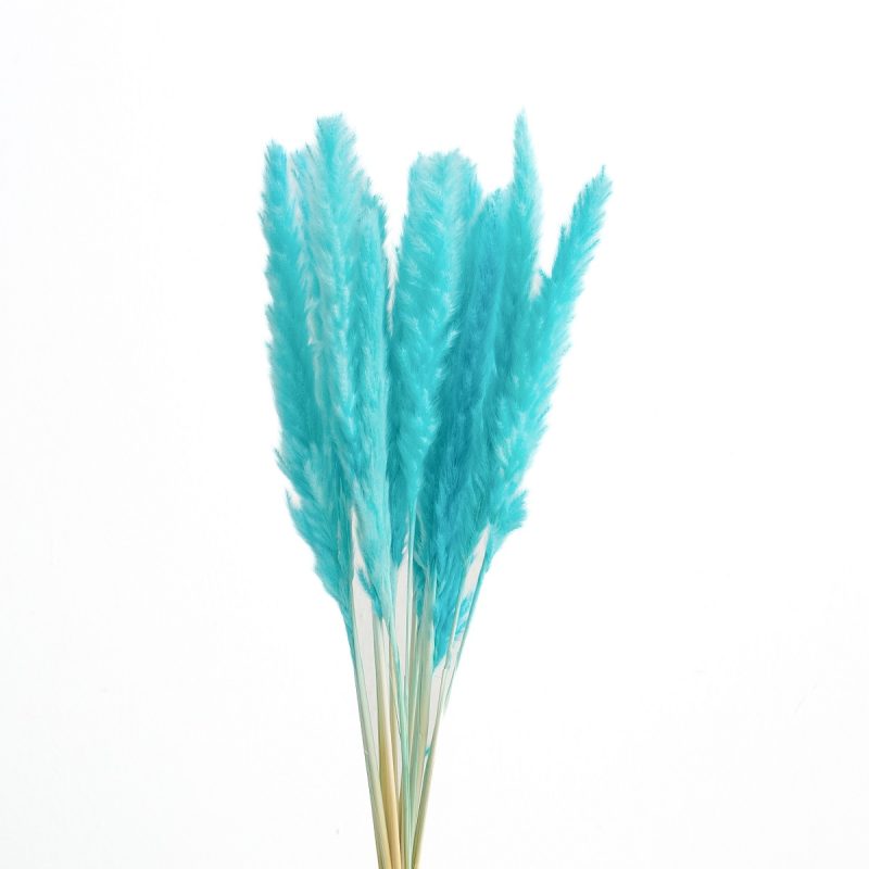 slim pampas grass tiffany blue