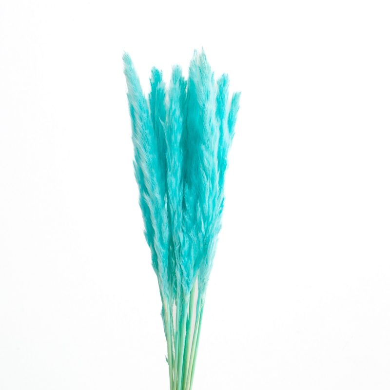 slim pampas grass tiffany blue