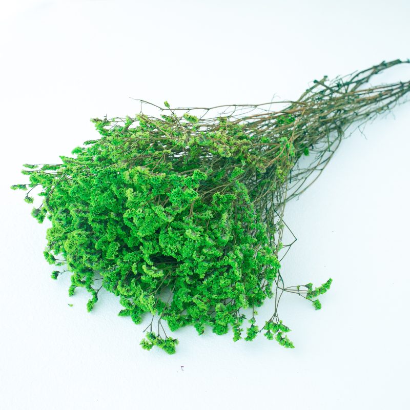 green limonium