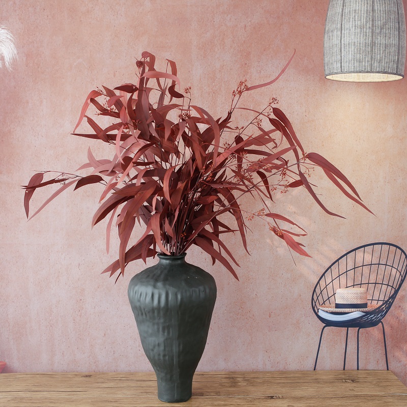 Red Eucalyptus Nicolii