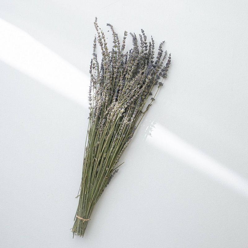 Dried lavender