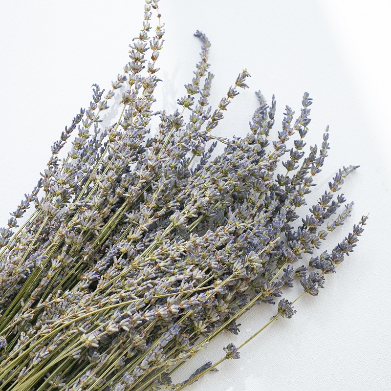 Dried lavender
