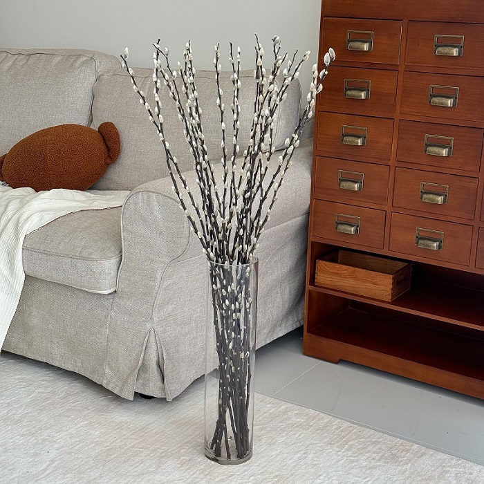 Dried pussywillow
