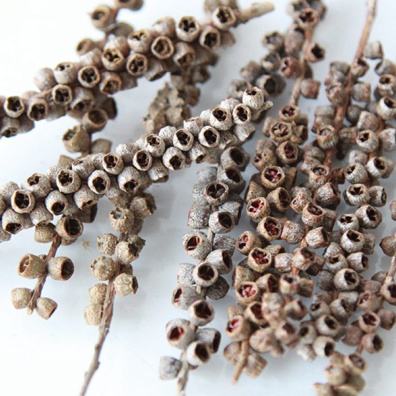 dried pepperberry