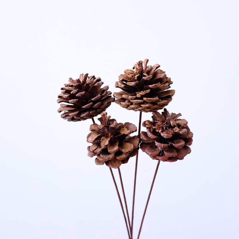 Pine cones with iron stems