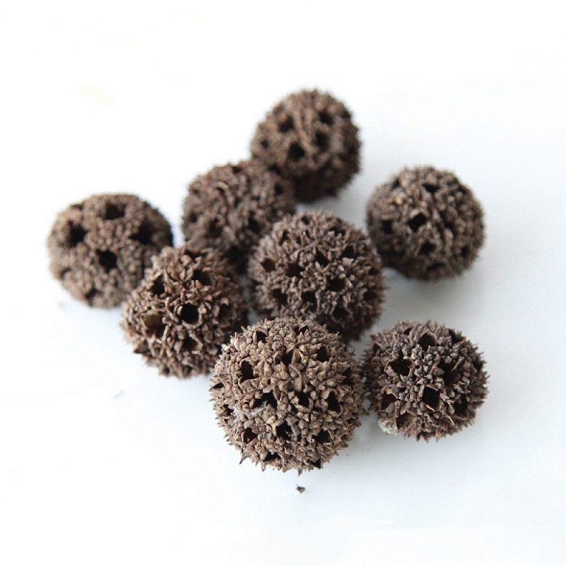 Dried Sweet Gum Balls