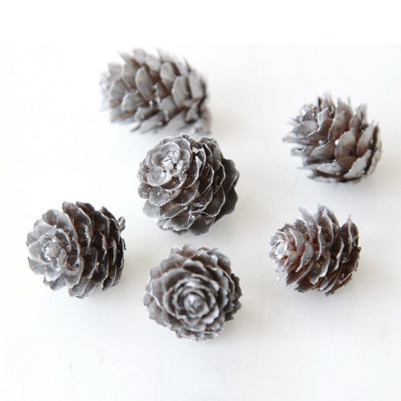 Dried Pine Cones Silver