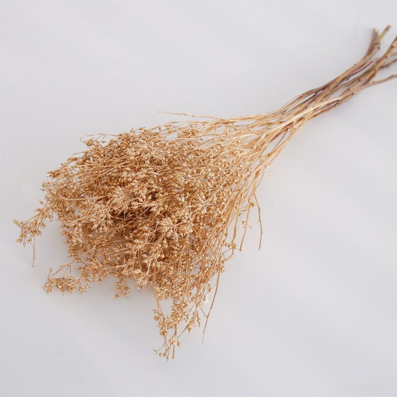 gloden colour Dried Eucalyptus Berries