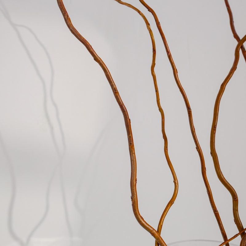 Glod rattan natural bunch