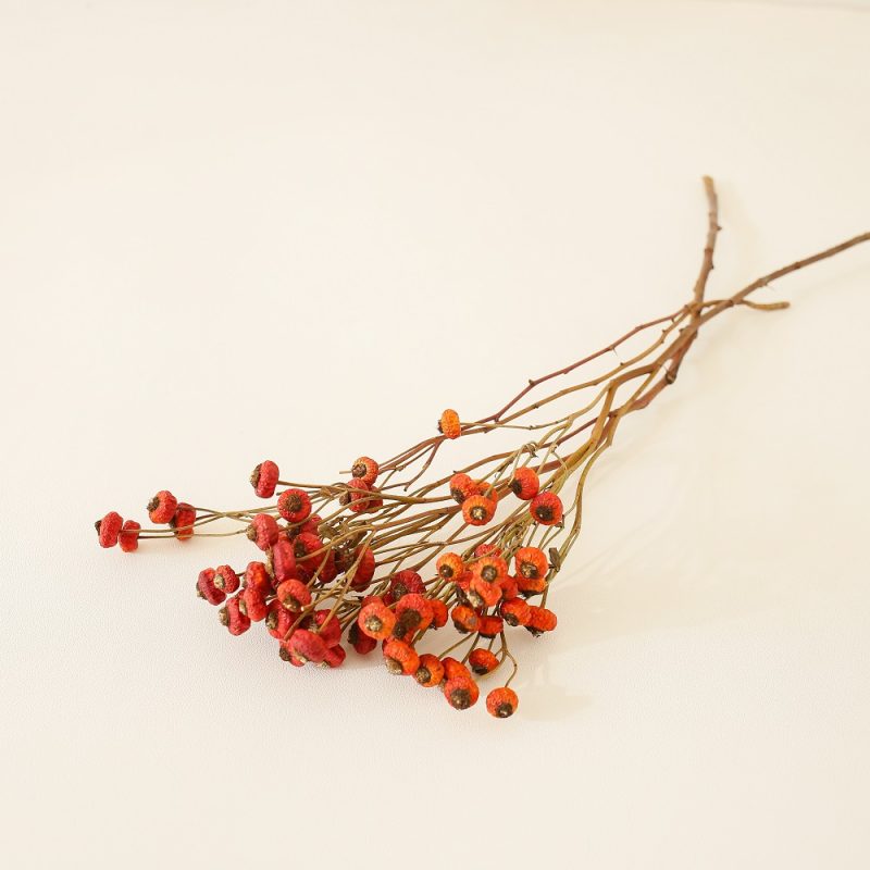 Dried rose hips
