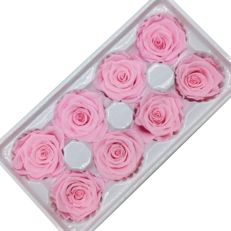 Preserved rose heads pink