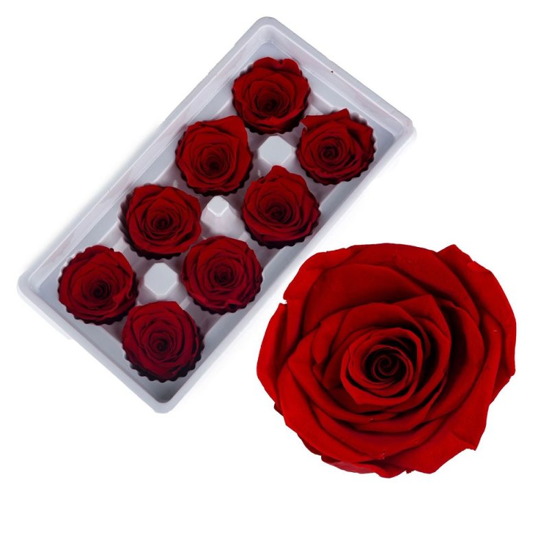 Preserved rose heads red