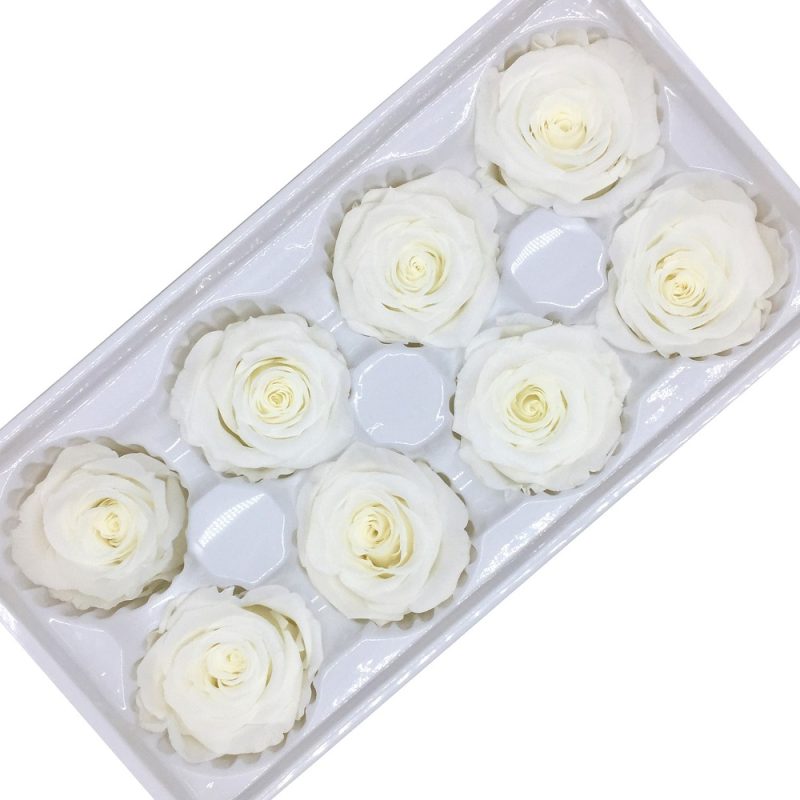 Preserved rose heads white
