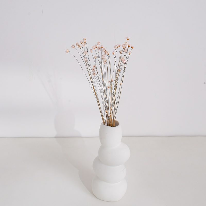 Light Pink Dried Glixia Flower