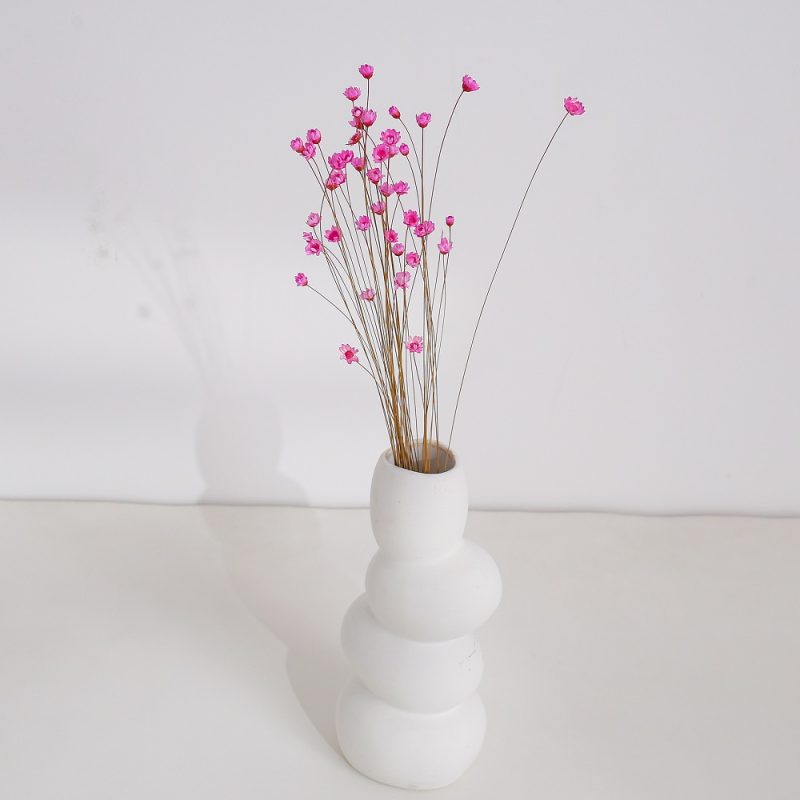 Magenta Dried Glixia Flower