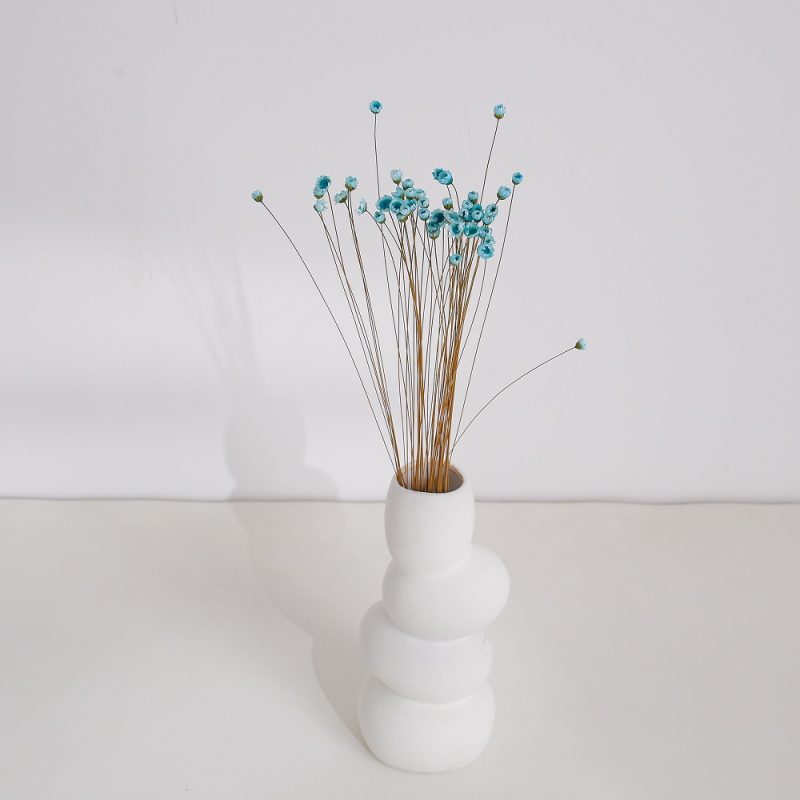 Tiffany blue dried Glixia Flower
