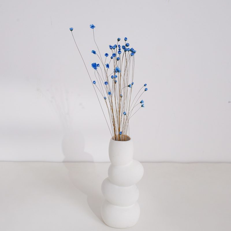 Blue Dried Glixia Flower