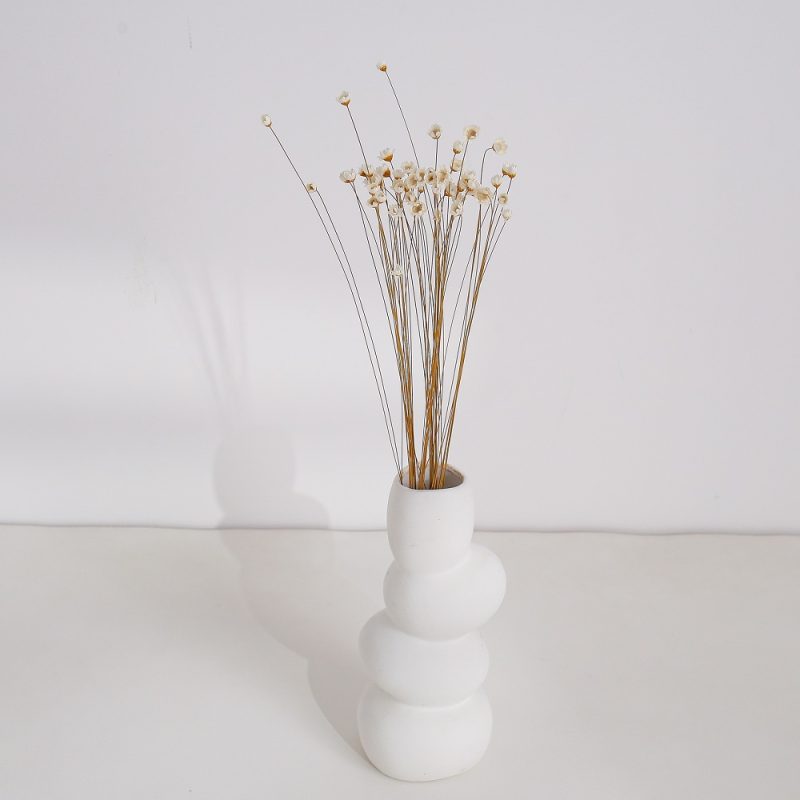 White Dried Glixia Flower