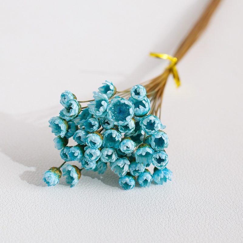 Tiffany blue dried Glixia Flower