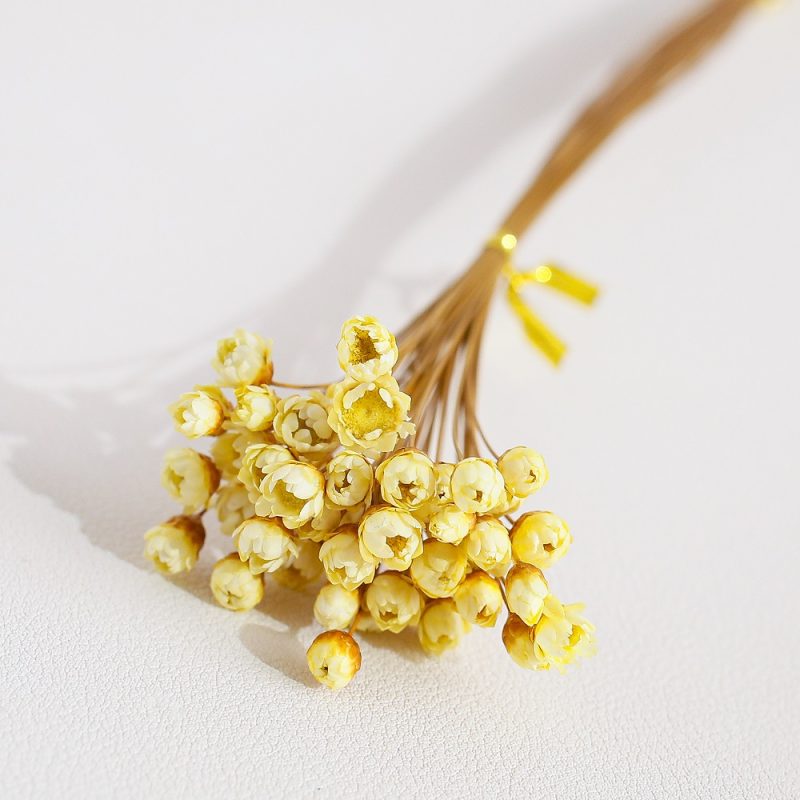 Yellow Dried Glixia Flower
