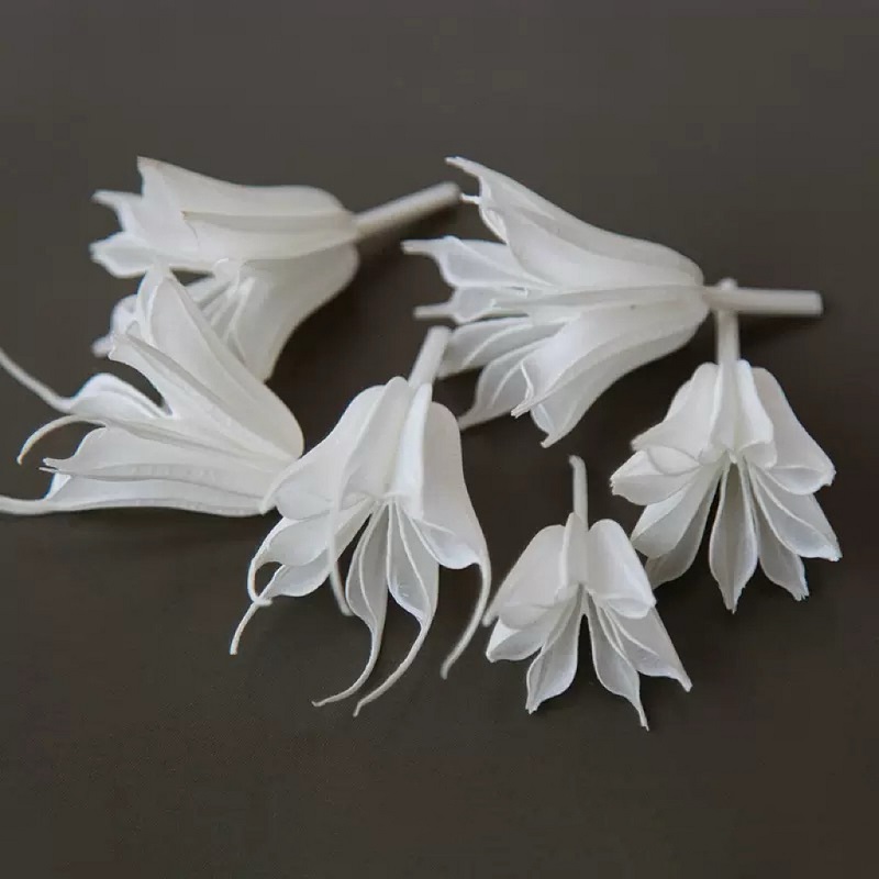 dried Nigella Orientalis white