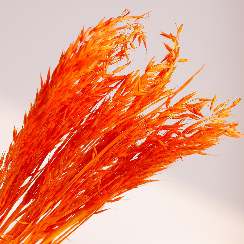 fire orange dried oats