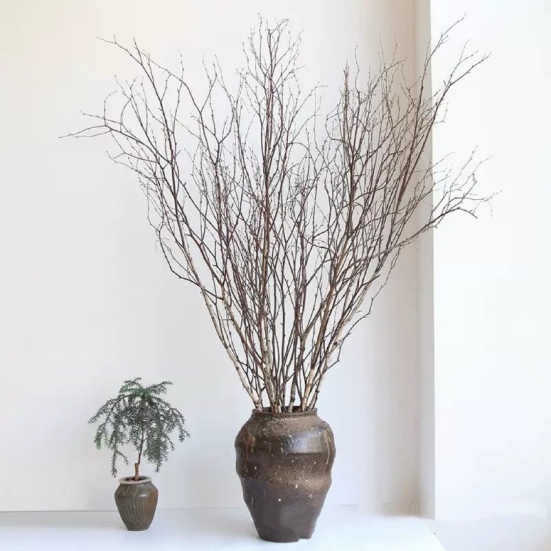 natural brown dried birch twigs