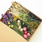 dried flower stems for crafting