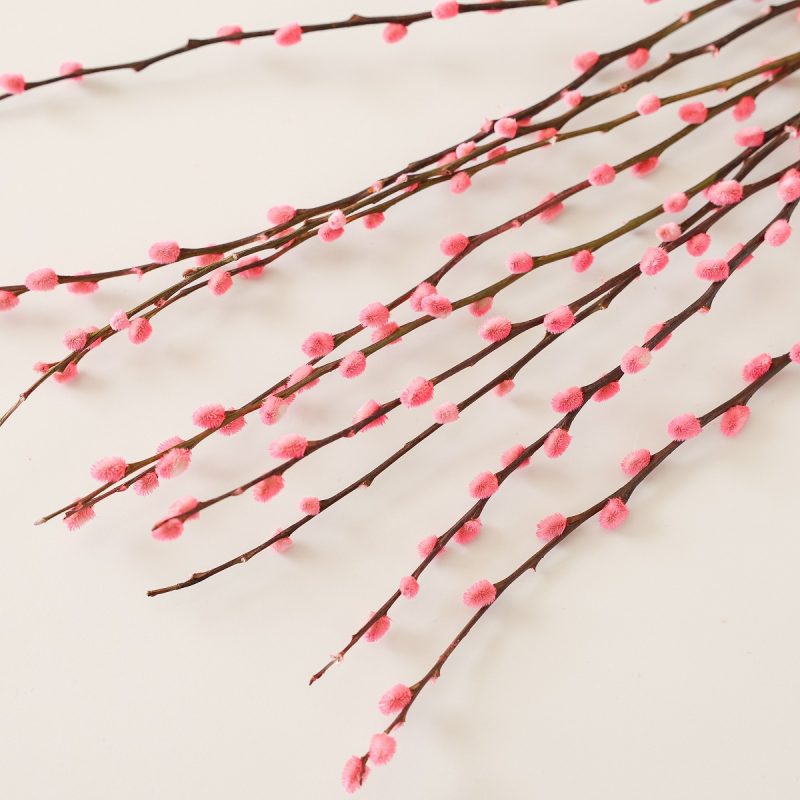 pink dried pussy willow
