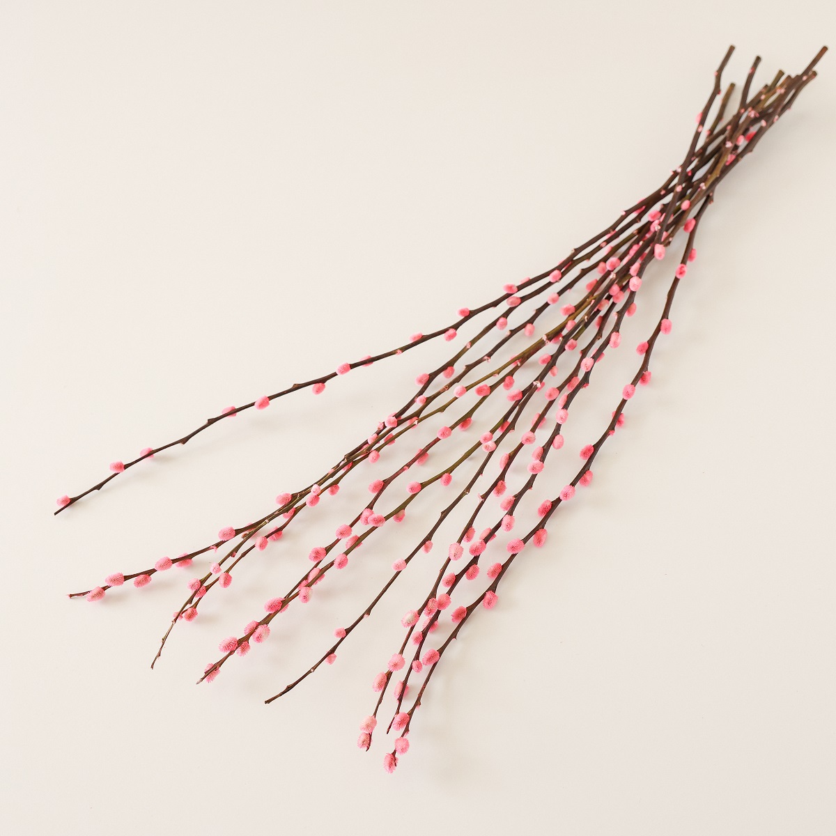 pink dried pussy willow