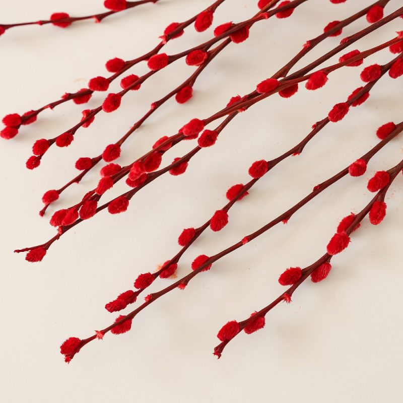 Red dried pussy willow