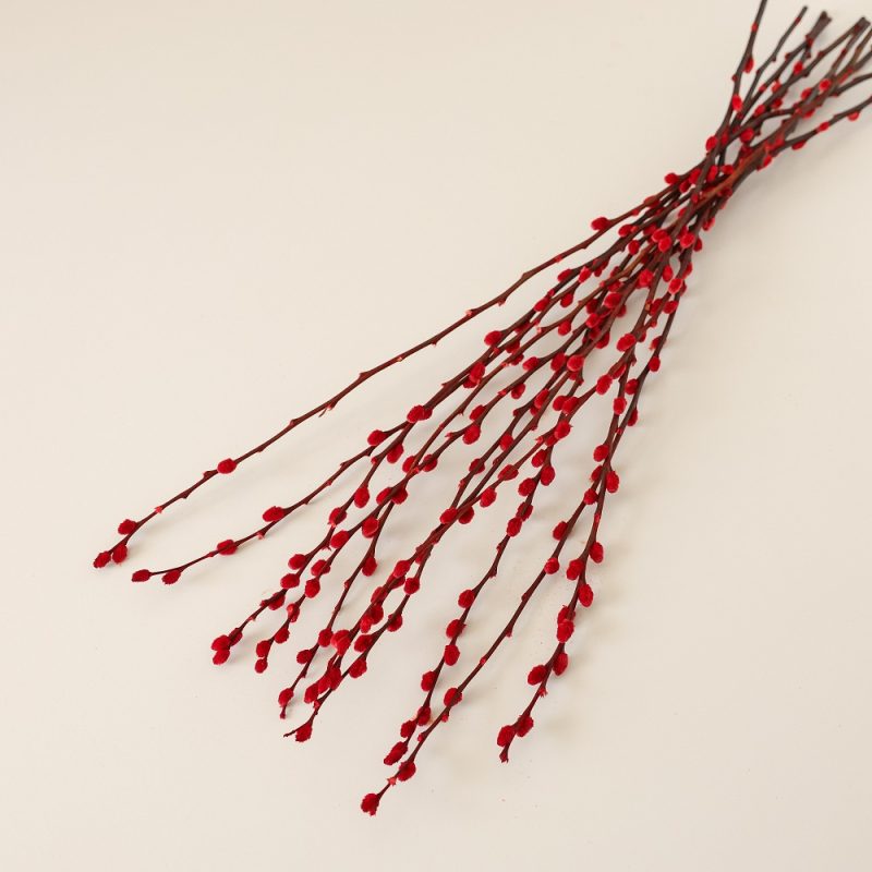 Red dried pussy willow