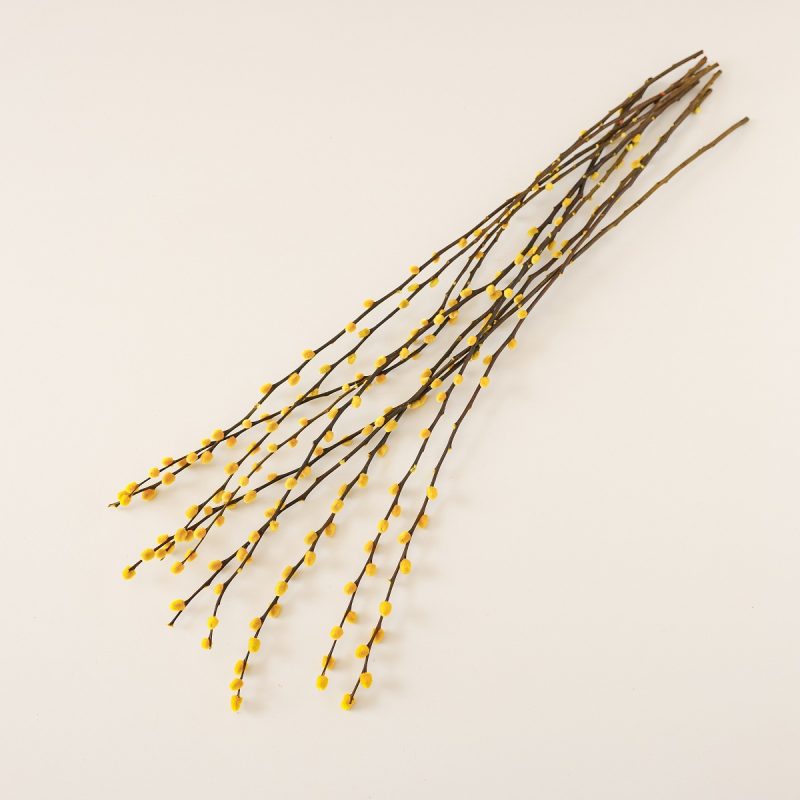 Yellow dried pussy willow
