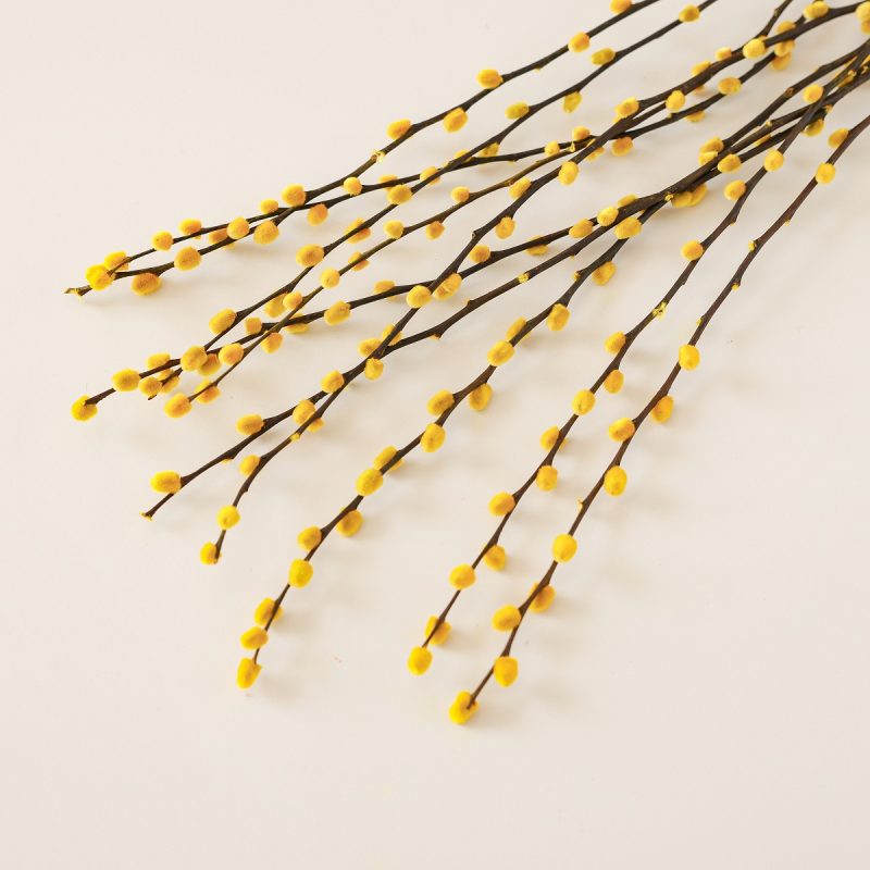 Yellow dried pussy willow